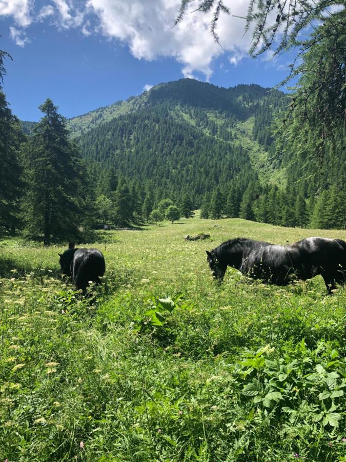 Agriturismo Ciambun Sampeyre Zewnętrze zdjęcie