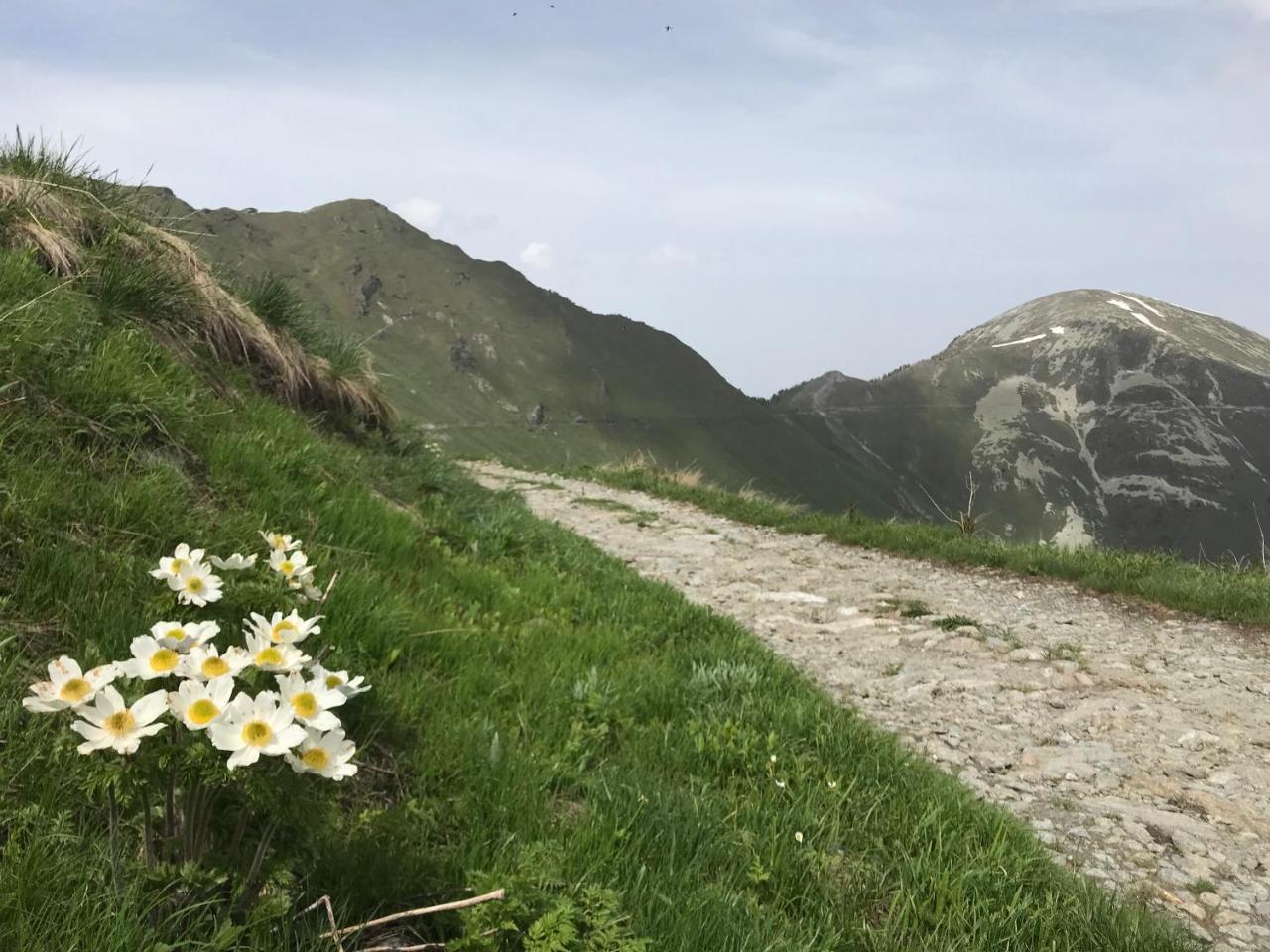 Agriturismo Ciambun Sampeyre Zewnętrze zdjęcie